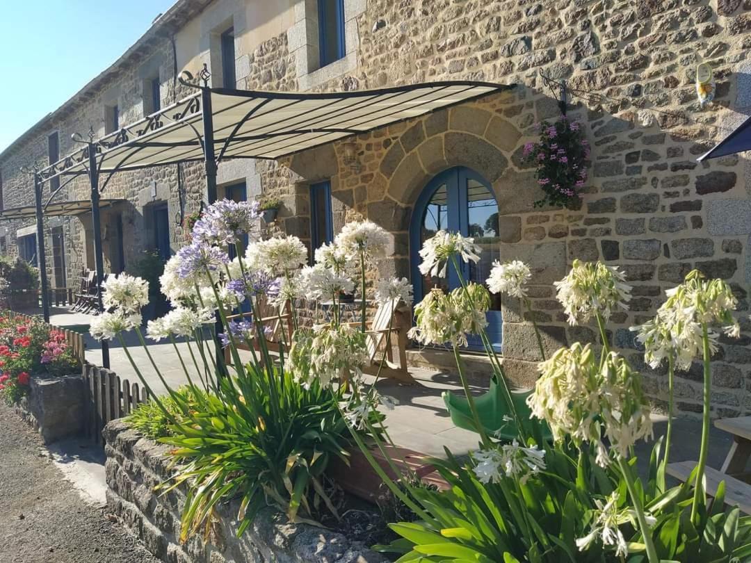 Le Douetaux Chambres D'Hotes La Baussaine Eksteriør billede